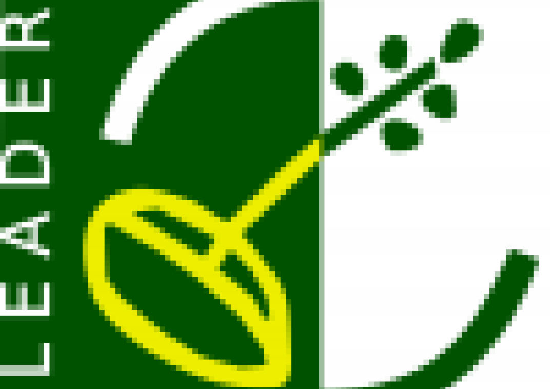 leader logo